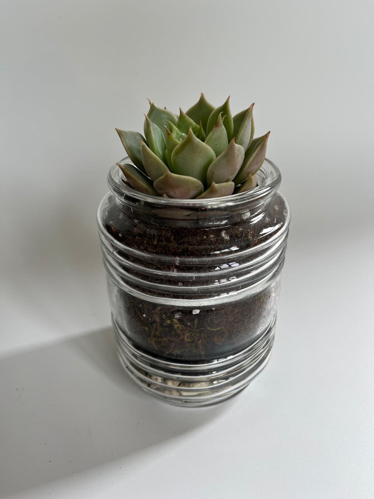 Bottom to top: gravel stones, horticultural charcoal, cactus mix