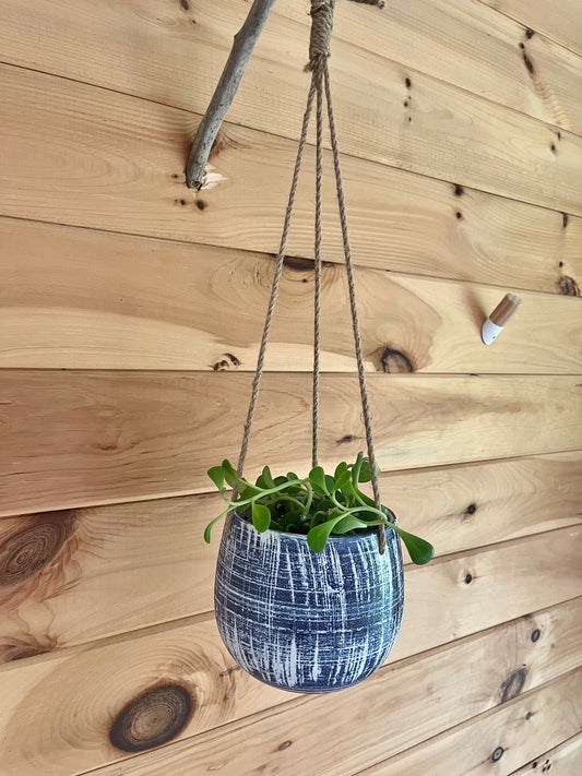 Weeping Jade (Senecio Jacobsensii) in a ceramic cerulean and white hanging pot