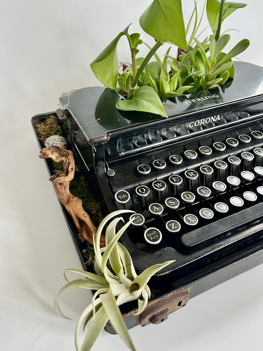 Vintage Sterling Corona Typewriter repurposed into a Succulent and Healing Crystal Planter