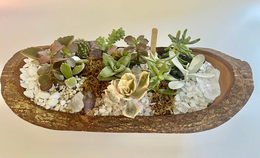 Healing Quartz Crystals and Succulent Party in a Wooden Boat