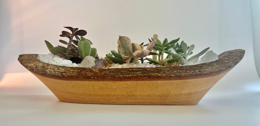 Healing Quartz Crystals and Succulent Party in a Wooden Boat