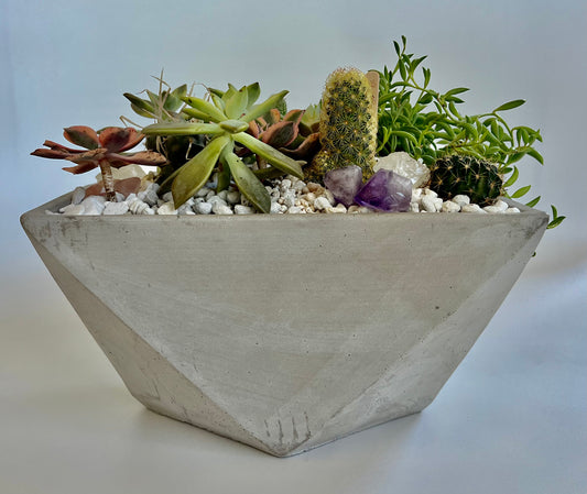 Concrete Vessel with Succulents, Cacti, and an array of Healing Quartz Crystals