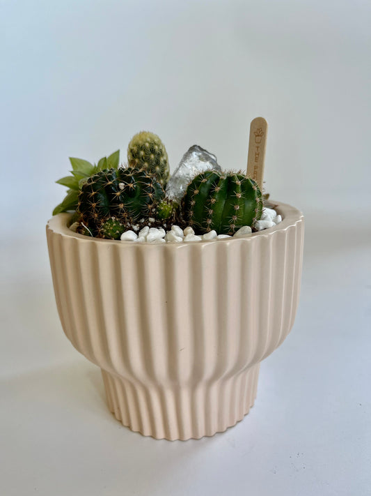 Succulents, Cacti, and Quartz Crystals in Ceramic Salmon Pedestal Pot