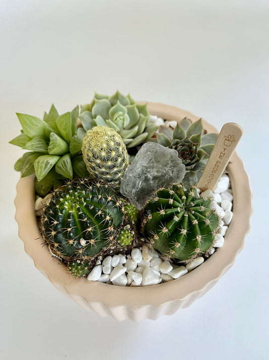 Succulents, Cacti, and Quartz Crystals in Ceramic Salmon Pedestal Pot