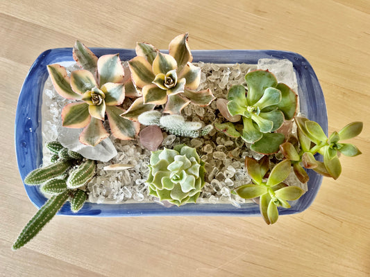 Oven baked ceramic loaf pot with succulents, cacti, and healing quartz crystals