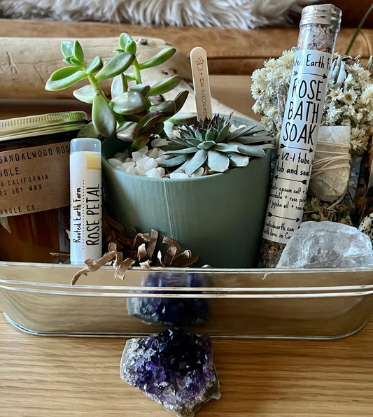 Healing and Wellness Bundle in a Metal Planter