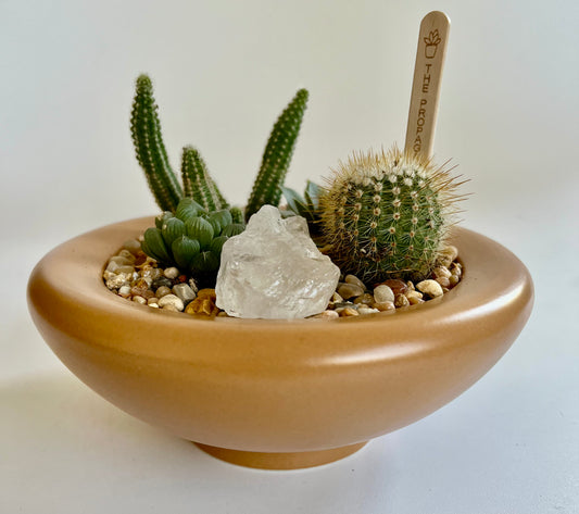 Succulents, Cacti, and Quartz Crystal in Ceramic Ginger Birdie Bowl