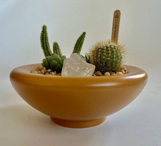 Succulents, Cacti, and Quartz Crystal in Ceramic Ginger Birdie Bowl