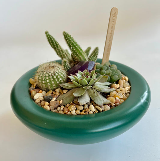 Succulents, Cacti, and Amethyst in Ceramic Rainforest Birdie Bowl