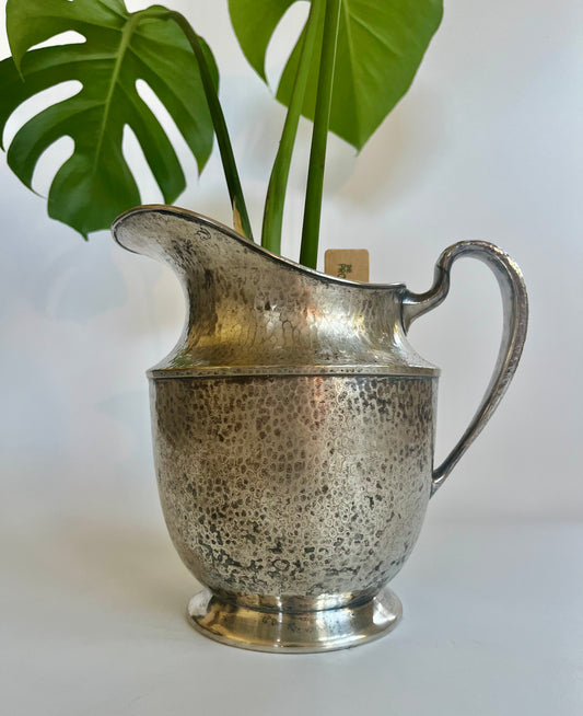 Monstera Deliciosa in vintage silver carafe with multicolored stones