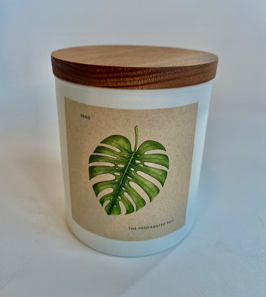 Tend - 10 oz Candle w/ Lid