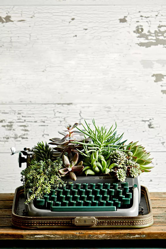 You Provide the Planter